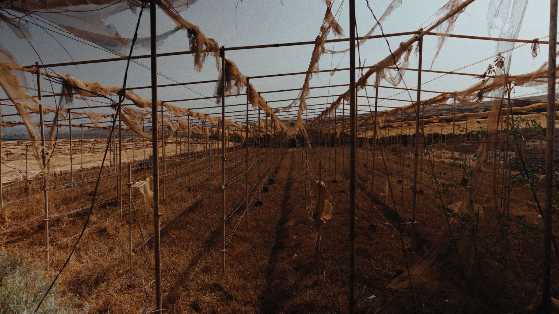 016_esk_stll_1.148.1_result