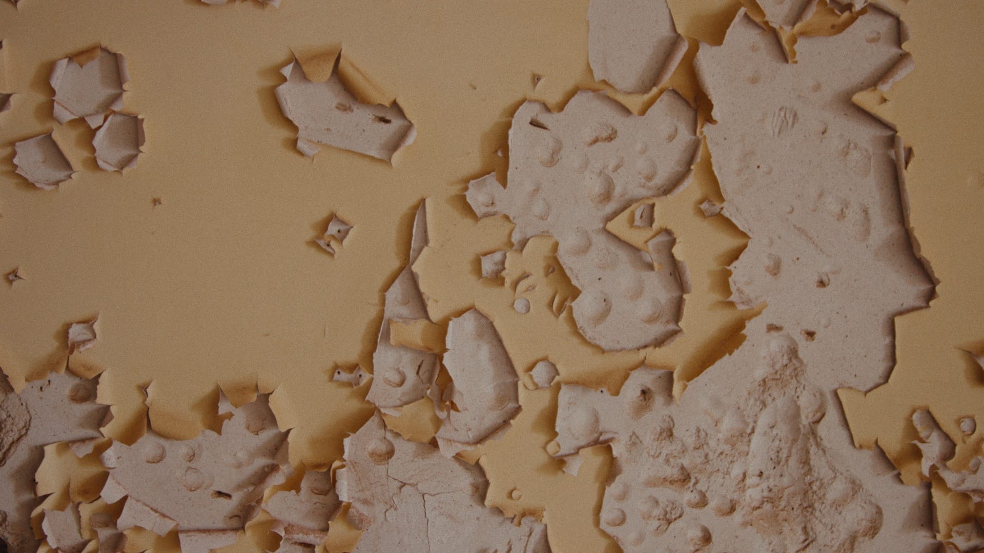 020_esk_stll_1.492.1_result