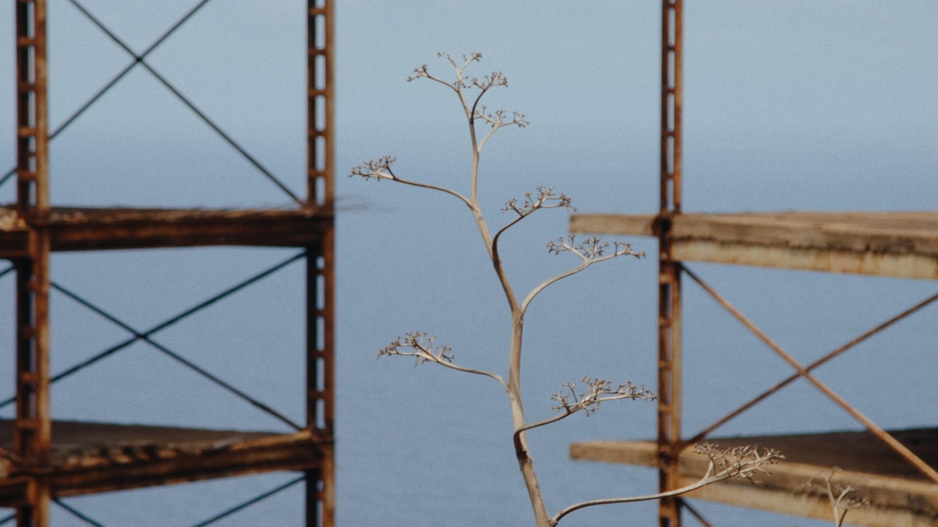 022_esk_stll_1.269.1_result