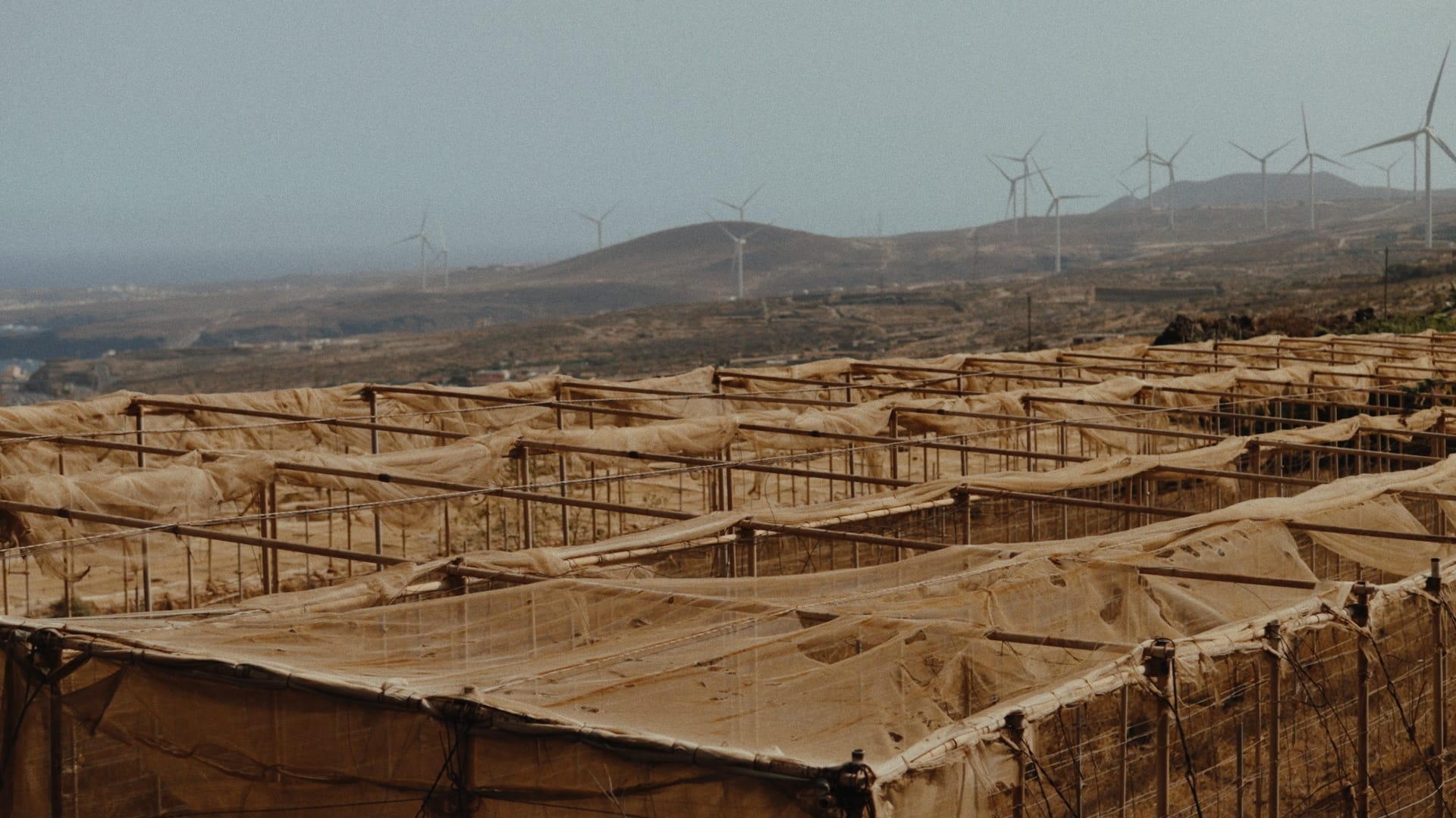 033_esk_stll_1.149.1_result