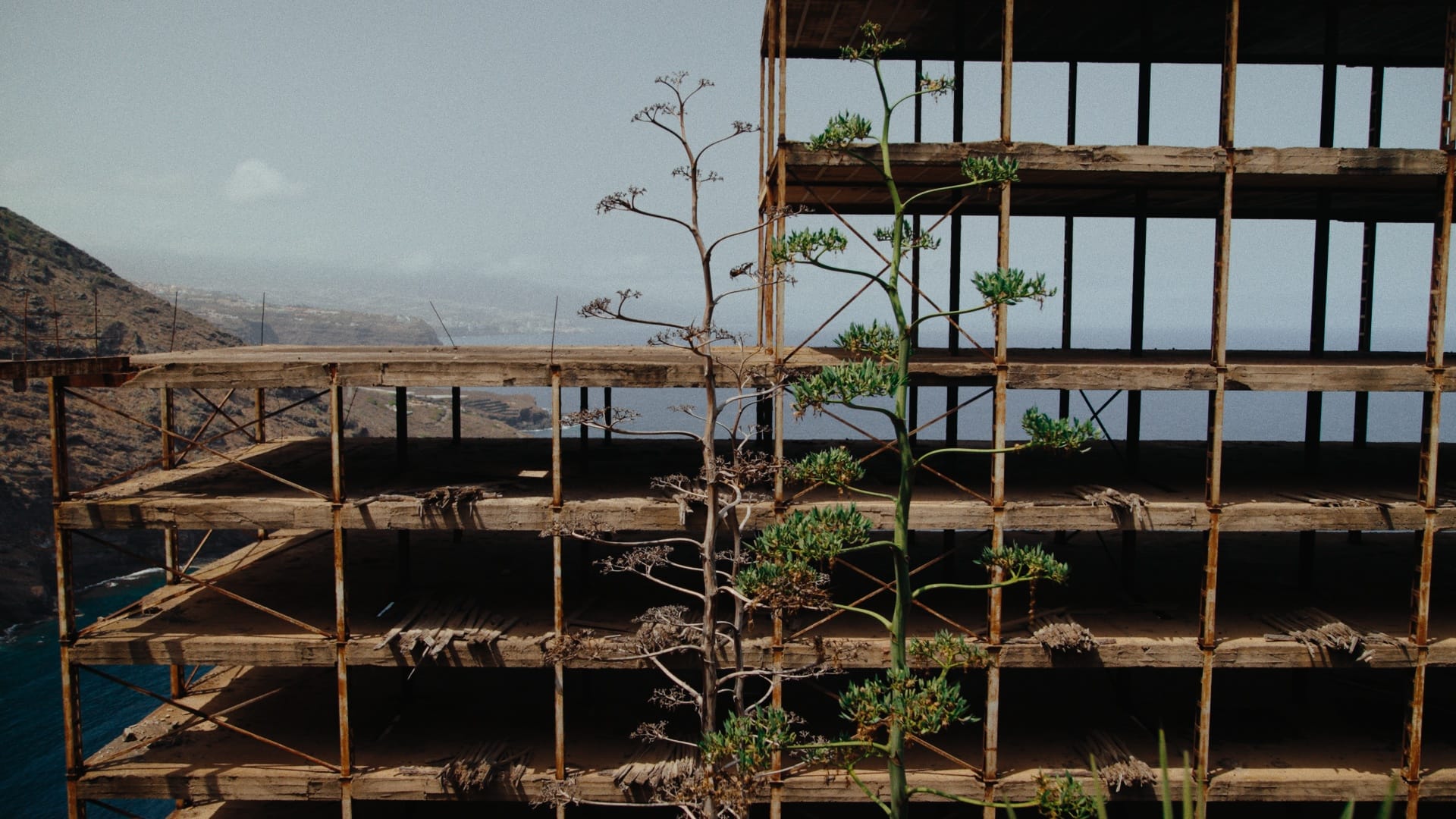 034_esk_stll_1.253.1_result